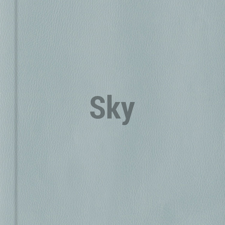 Vegan Leather Sky