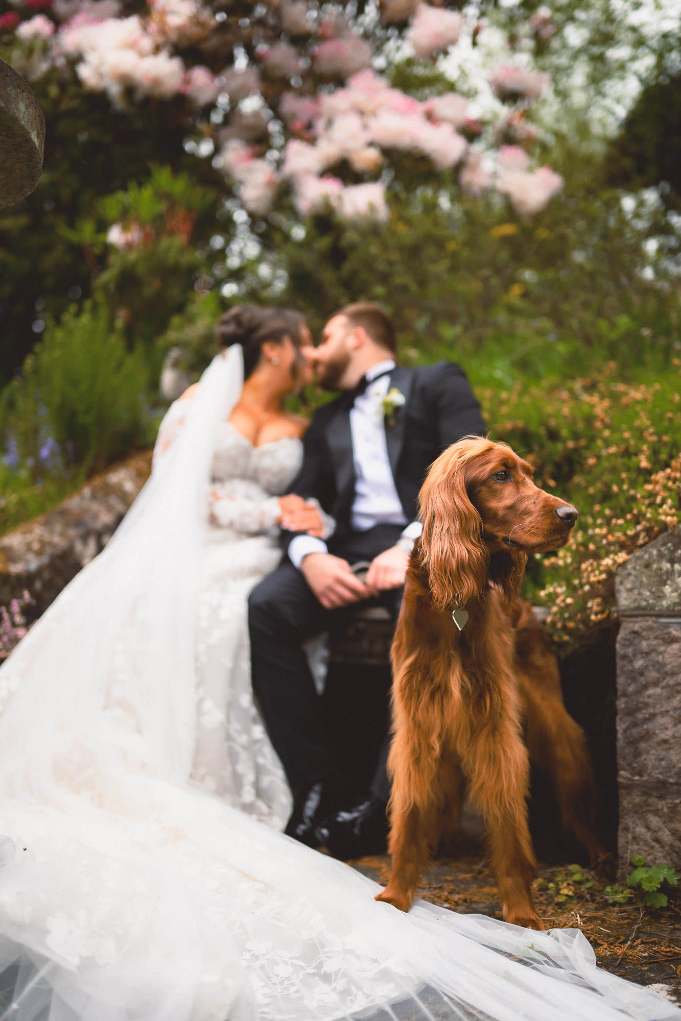 Staffordshire-Wedding-Photographer-3489